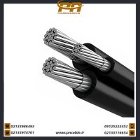 کابل خودنگهدار 25-16+50+50*3